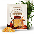 Corn Seeds - Organic, Heirloom, Open Pollinated, Non GMO - Grow Indoors, Outdoors, In Pots, Grow Beds, Soil, Hydroponics & Aquaponics