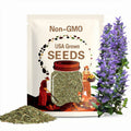 Hyssop Seeds - Organic, Heirloom, Open Pollinated, Non GMO - Grow Indoors, Outdoors, In Grow Beds, Soil, Hydroponics & Aquaponics