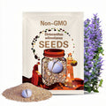 Dinteranthus wilmotianus, 10 seeds [SEEDS ONLY]